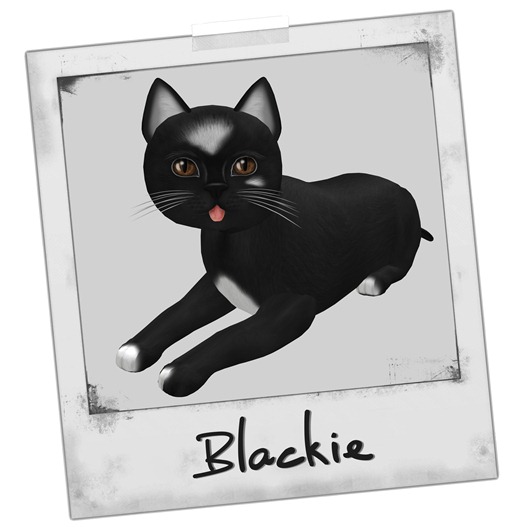 Blackie