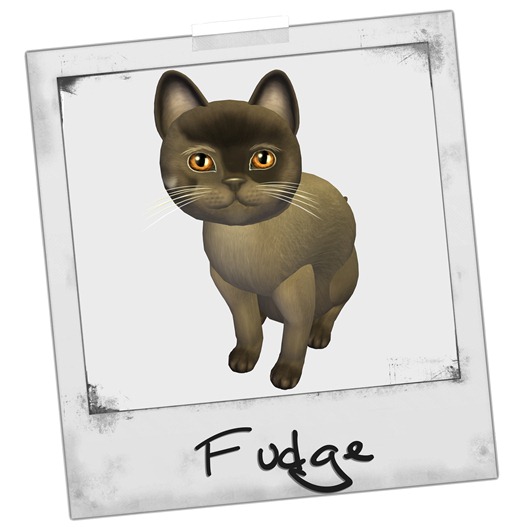 Fudge